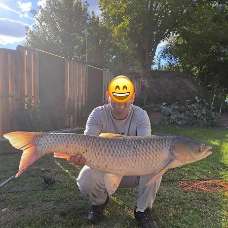 Domeglamping At Fishinglake Ságvár