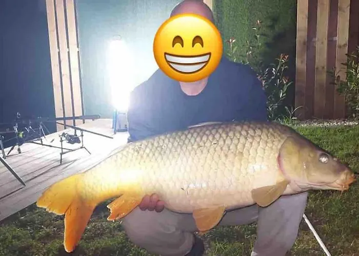 Domeglamping At Fishinglake *