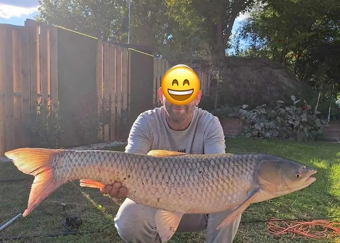 Domeglamping At Fishinglake Ságvár